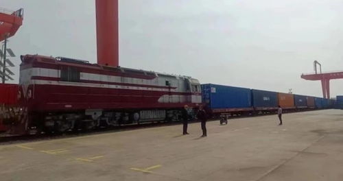 中欧班列 上海号 回程车抵沪 东方国际新增国际货运通道